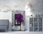 Wallity WY239 Lienzo Decorativo Multicolor 50 x 70 cm